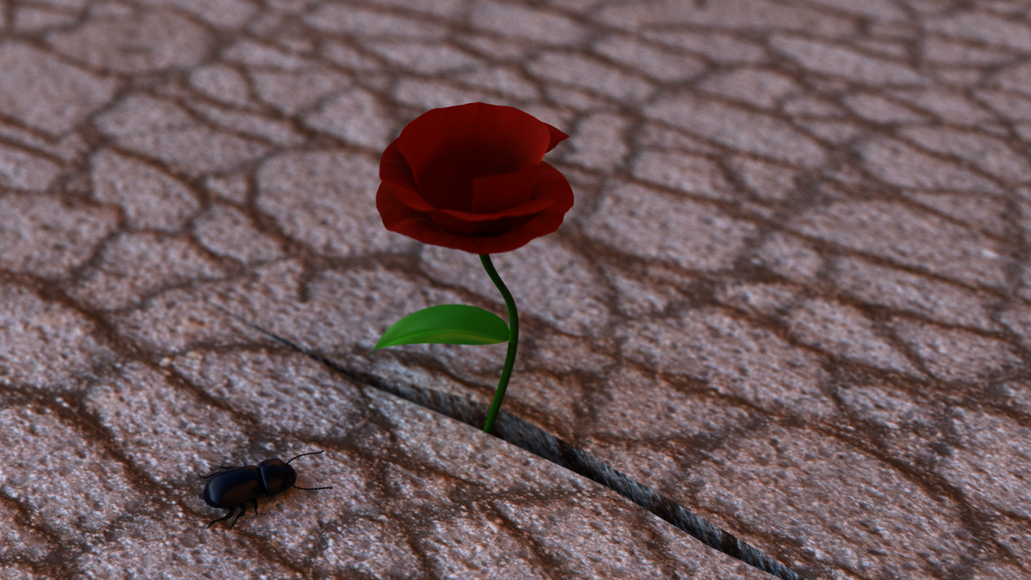 CS440 - Rendering Competition 2018 - Submission from Adrian Pascal Valente