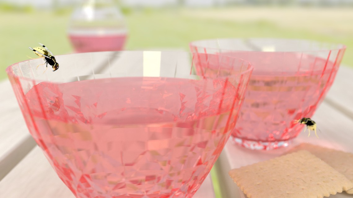 CS440 - Rendering Competition 2019 - Submission from Anna Fredriksson Häägg